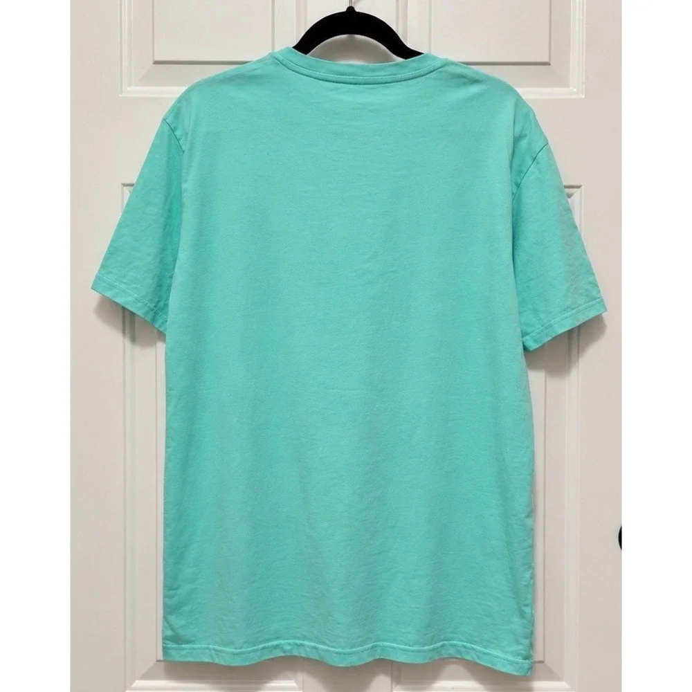 Polo Ralph Lauren Mens Large V-Neck T-Shirt Mint Green Pink Pony Custom Fit Tee